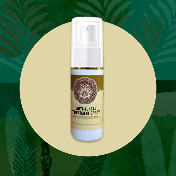 Fungicide™ Anti-Pilz-Behandlungsspray (1+1 GRATIS!)