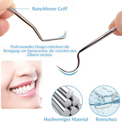 OralShine™ - Zahnstocherset aus Edelstahl