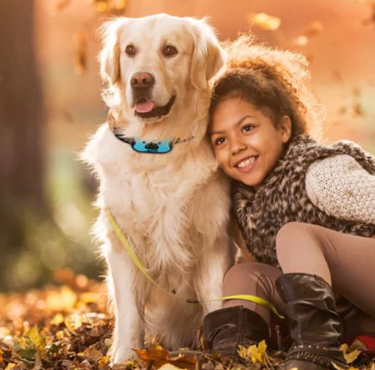 BarkBuster™️ I Anti-Bell-Halsband